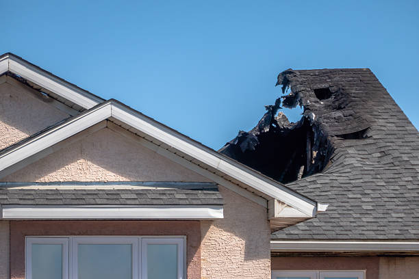 Top rated local Fire Board Up specialists in Forest Hill, TX